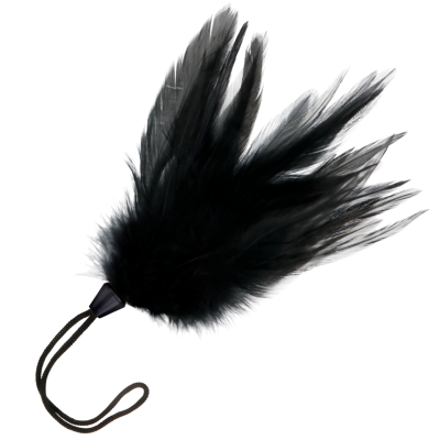 DARKNESS BLACK FEATHER 17cm