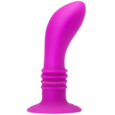 BOOTY PASSION VIBRATOR PLUG 10V